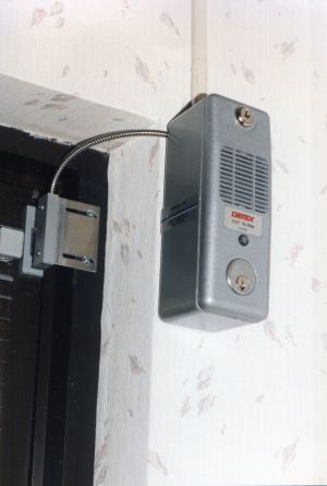emergency exit alarm 1.jpg